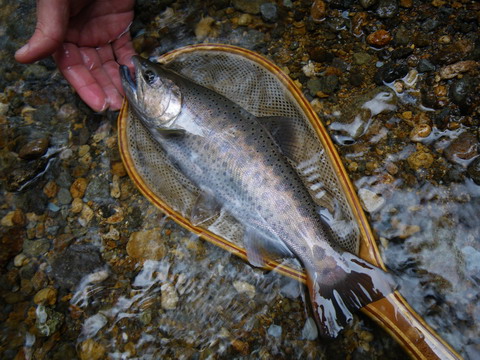 c0202727_2144714.jpg