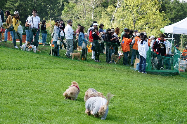 動物愛護フェス2011②_f0046128_7303213.jpg