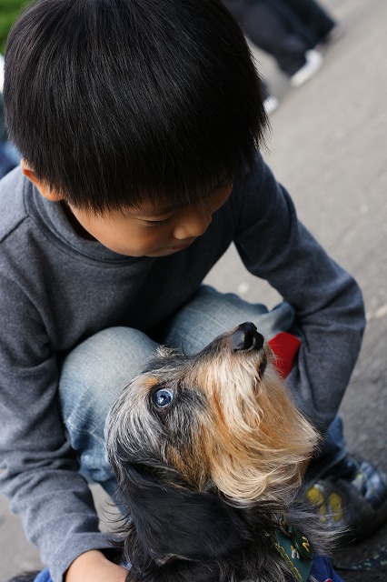 動物愛護フェス2011③_f0046128_841472.jpg