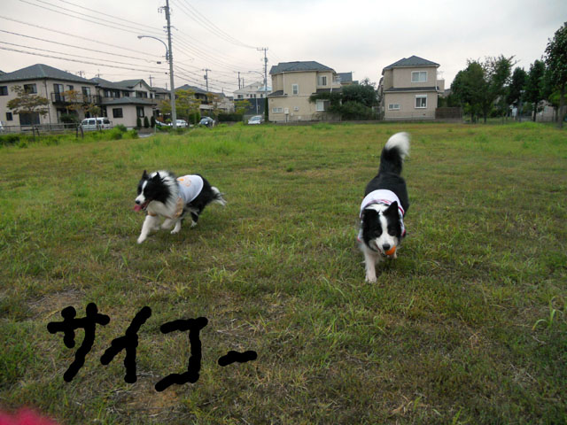 d0059230_10254122.jpg