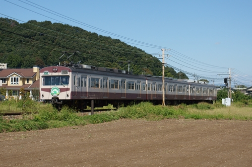d0223231_2032398.jpg