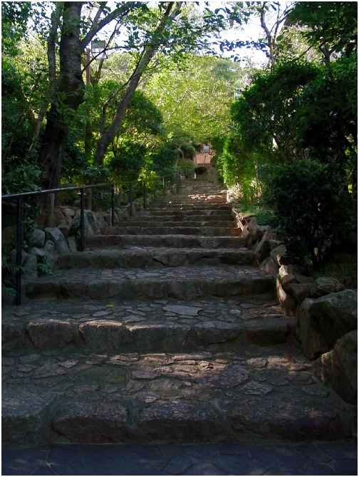 d0017632_176737.jpg