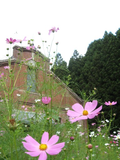 c0090236_094713.jpg