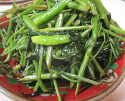 青唐辛子_f0038336_804421.jpg