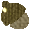 b0129140_1075946.gif