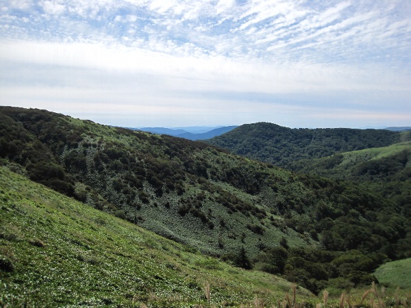 b0149340_23321.jpg