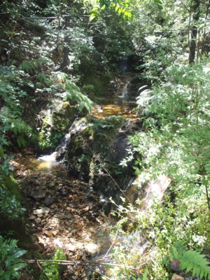 c0119142_13334046.jpg