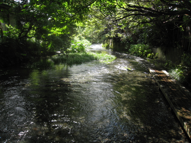 a0198243_74784.jpg