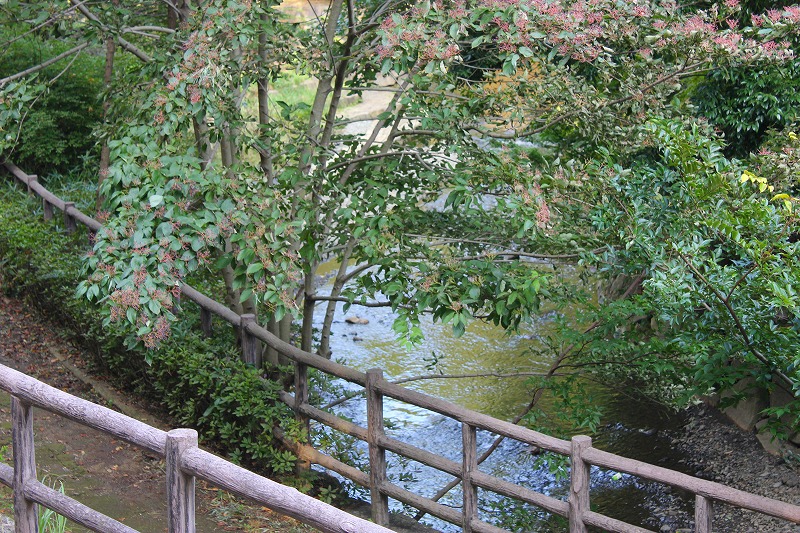 e0023643_17265751.jpg