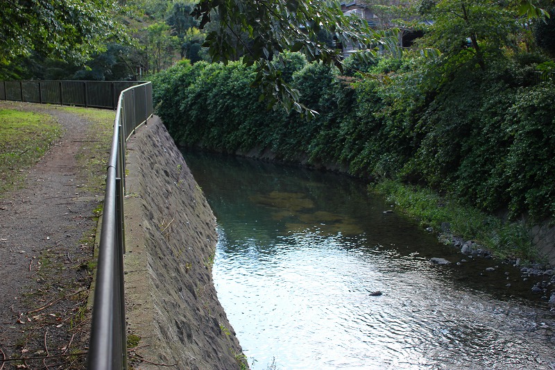 e0023643_17271130.jpg