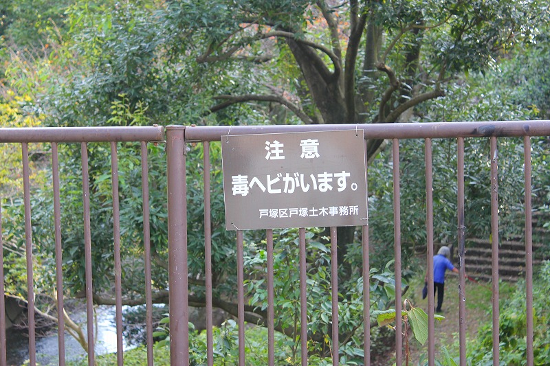 e0023643_17373640.jpg