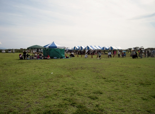 b0005652_21245589.jpg