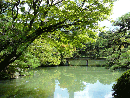 c0225153_9411292.gif