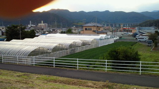 f0046854_2115588.jpg