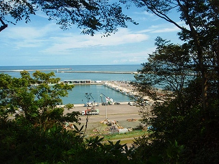 e0004756_20554025.jpg