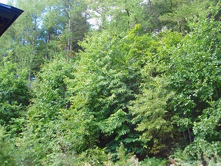 e0004756_21183024.jpg