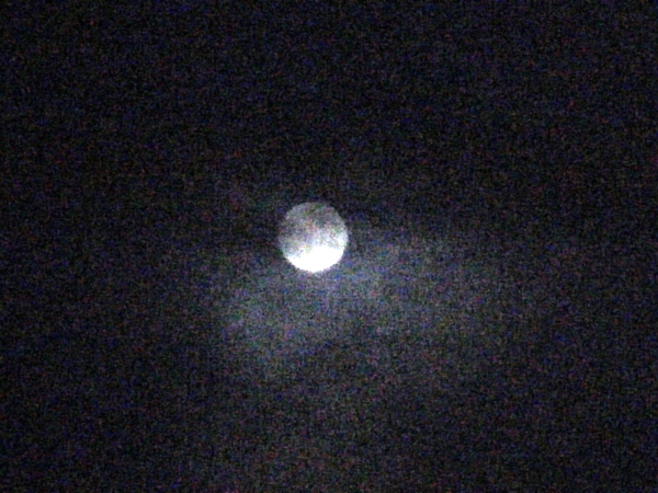 a0174458_84772.jpg