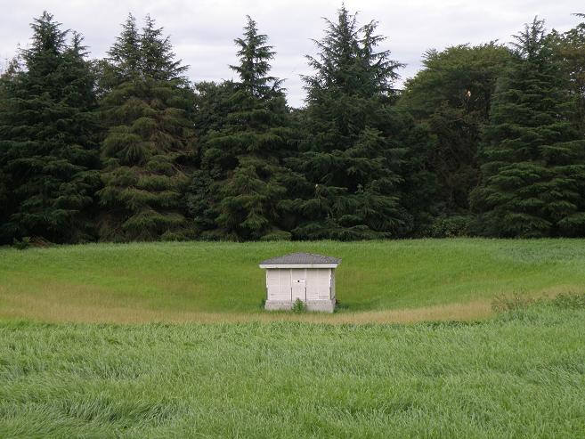 e0136962_0201799.jpg