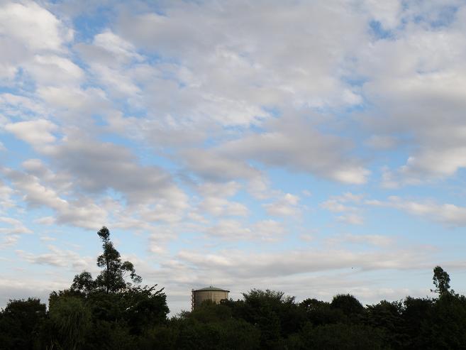 e0136962_023769.jpg