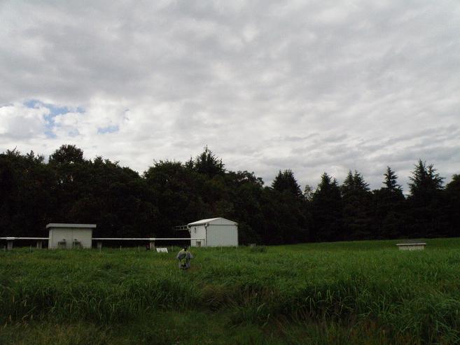 e0136962_175837.jpg