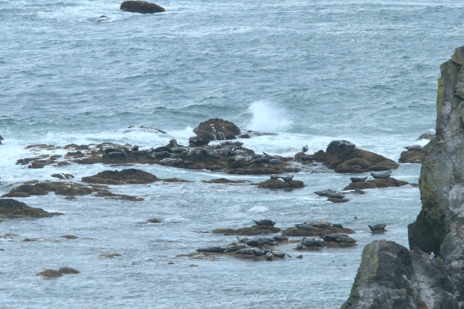 f0227662_0584245.jpg