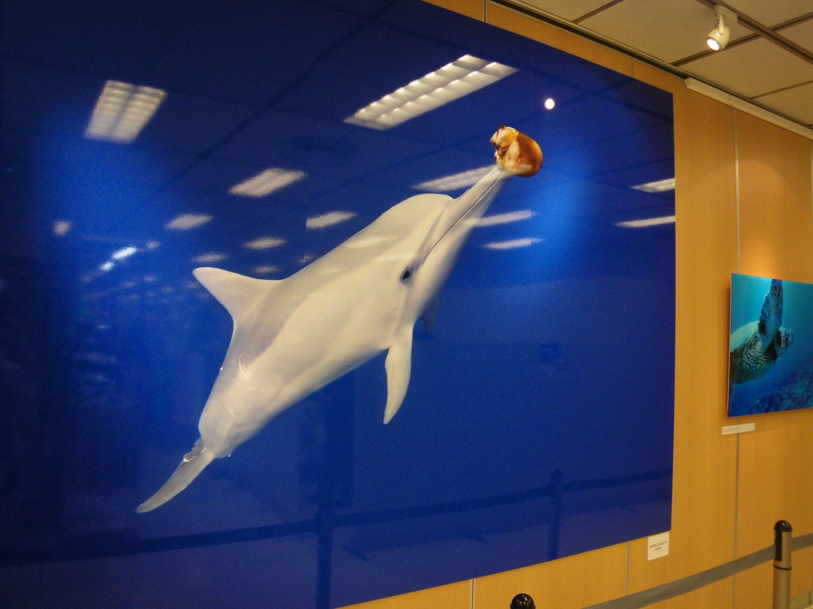 f0157268_18373921.jpg
