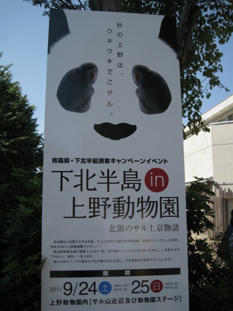 下北半島in上野動物園──北限のサル上京物語_a0188771_22131611.jpg