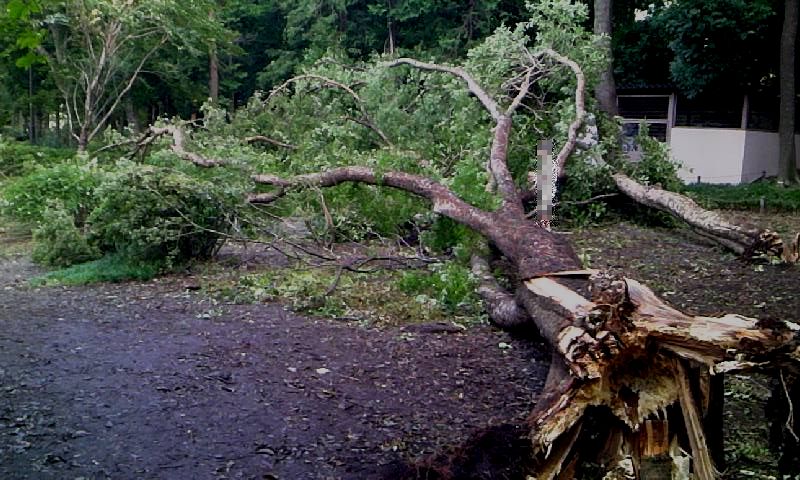 e0212073_74478.jpg