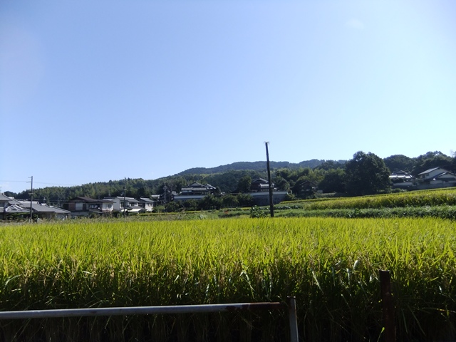 a0019074_21502465.jpg