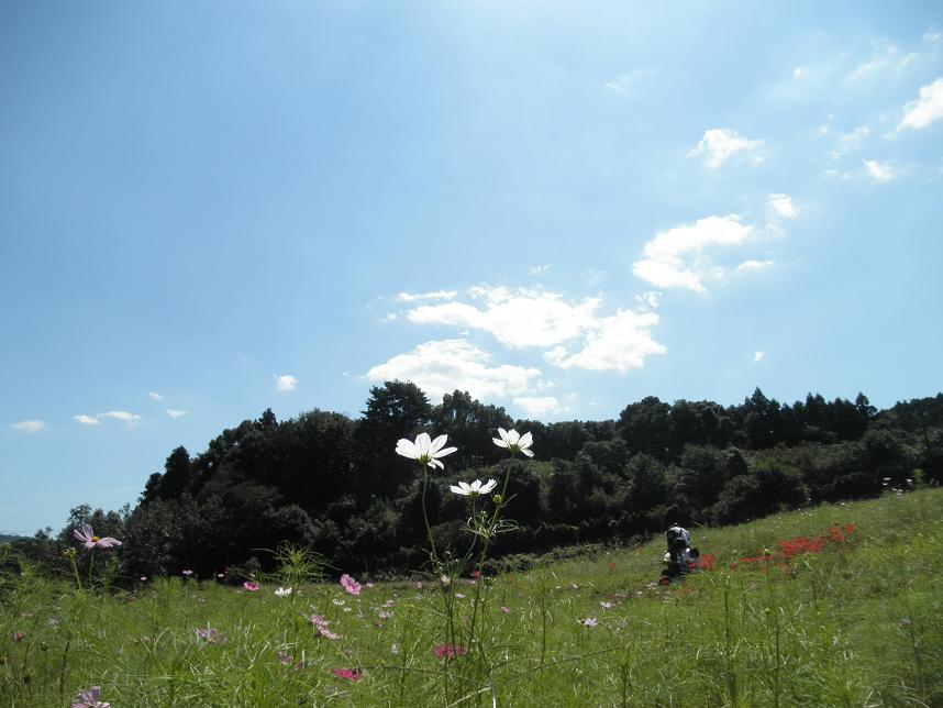f0101679_19355496.jpg