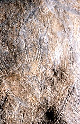 a0112387_417303.jpg