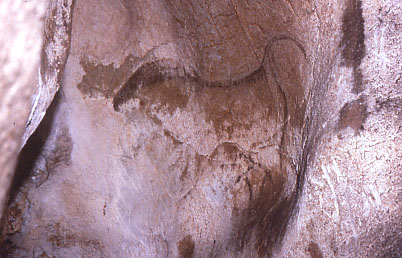 a0112387_4185871.jpg