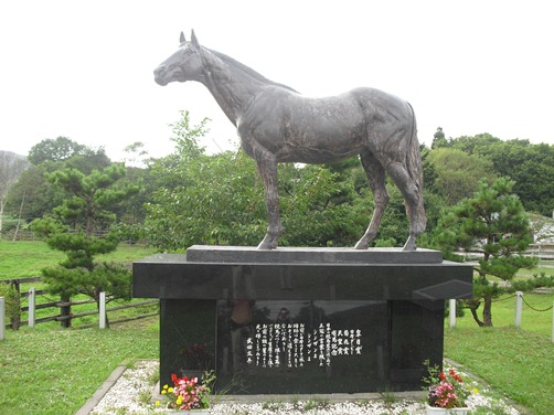 北海道の旅2011②_c0109090_884772.jpg