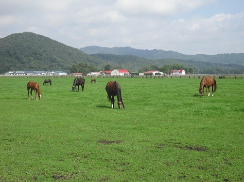 c0109090_943225.jpg
