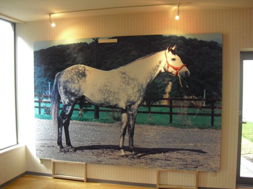 c0109090_954130.jpg