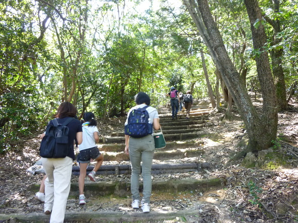 東山公園 一万歩コース 名古屋ol生活 ボランティアの日々 東山公園 一万歩コース 名古屋ol生活 ボランティアの日々