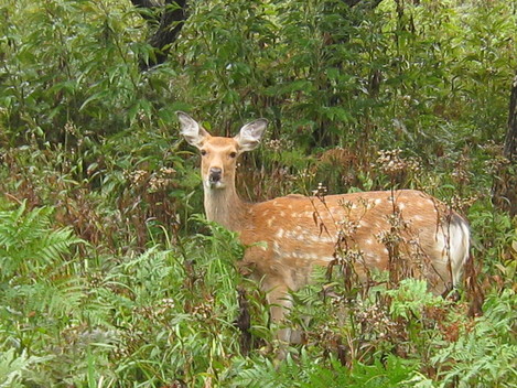 f0236391_15161673.jpg