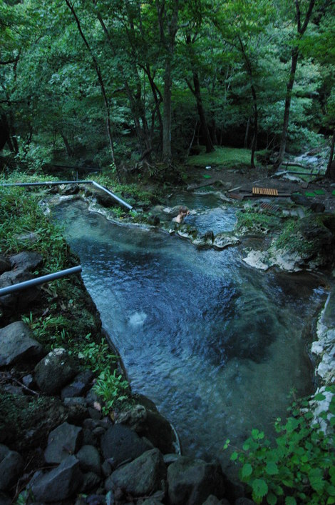 f0236391_1550494.jpg