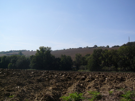 a0216392_49413.jpg