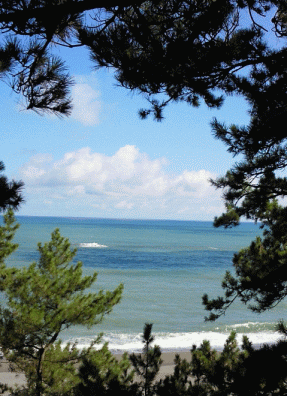 c0008293_9144226.gif