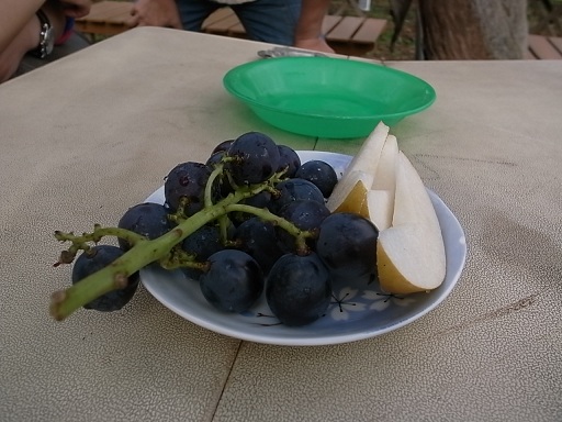 e0043700_23482359.jpg