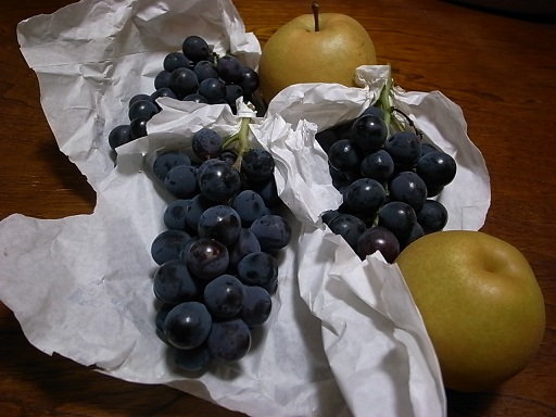 e0043700_2353553.jpg