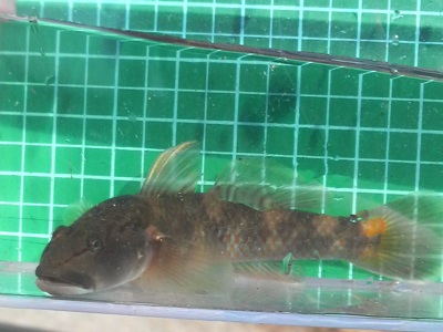 f0082402_10551091.jpg