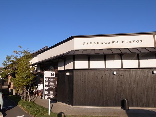 c0093205_1262414.jpg