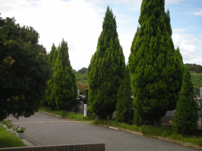 a0185007_14292495.jpg