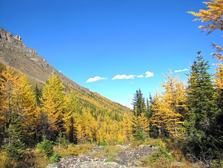 b0051109_1221628.jpg