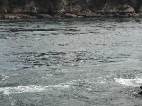 愛媛県 伯方島 船折瀬戸の潮流_f0231709_20154555.jpg