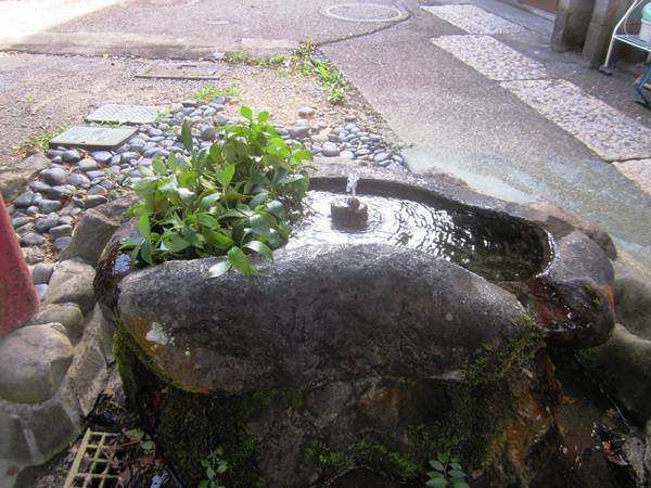 修善寺へ3 日本一時帰国7_b0064411_13481844.jpg
