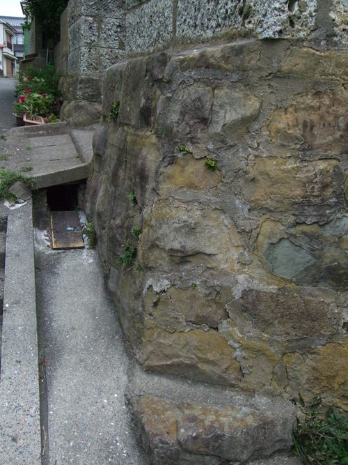 e0241511_2054932.jpg