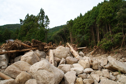f0129416_728295.jpg